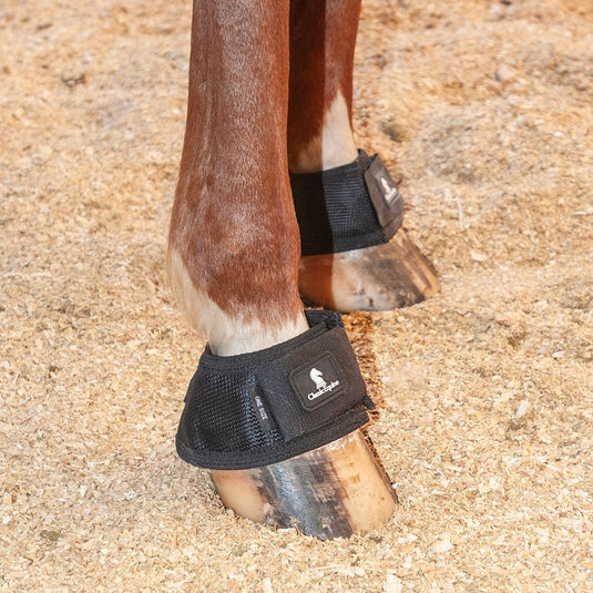 Classic Equine MagNTX Bell Boot - Black