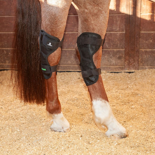Classic Equine MagNTX Hock Wrap - Black