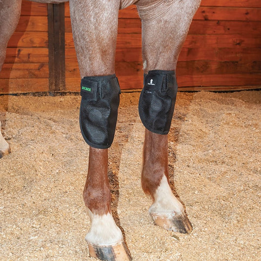 Classic Equine MagNTX Knee Wrap - Black