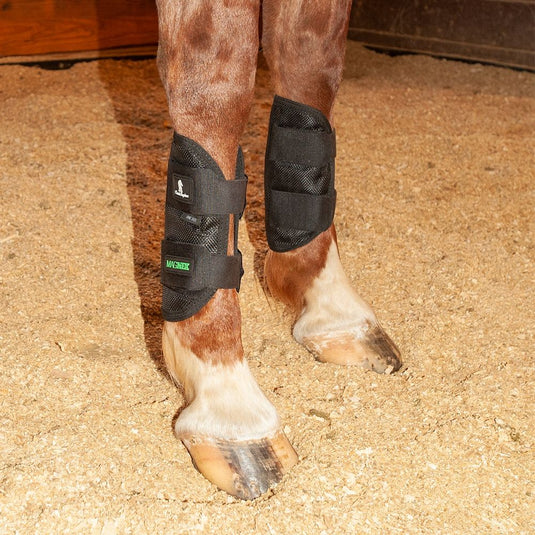 Classic Equine MagNTX Tendon Wrap - Black
