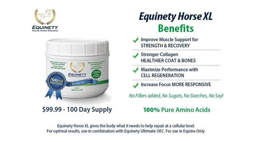 Equinety Horse XL - 600 Grams