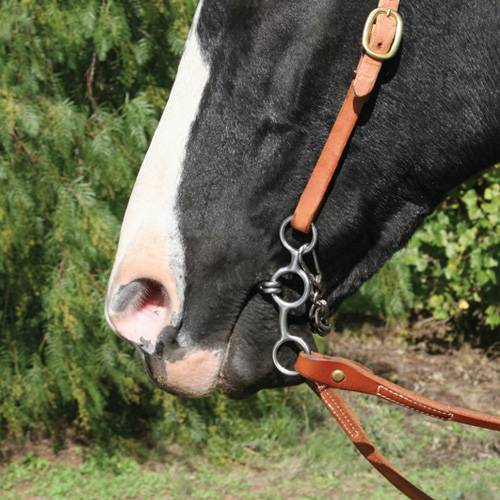 Load image into Gallery viewer, Professional’s Choice Equisential Performance Short Shank Snaffle Bit
