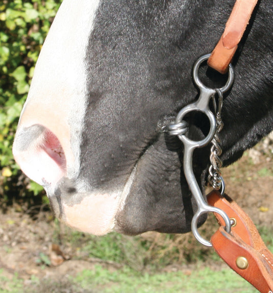 Professional's Choice Equisential Performance Long Shank Lifesaver Bit
