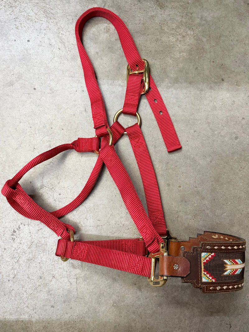 Load image into Gallery viewer, Used Nylon Halter w/ Beaded Inlay Leather Nose - Red - Avg
