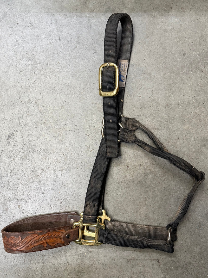 Load image into Gallery viewer, Used Nylon Halter w/ Leather Tooled Nose - Black - Avg
