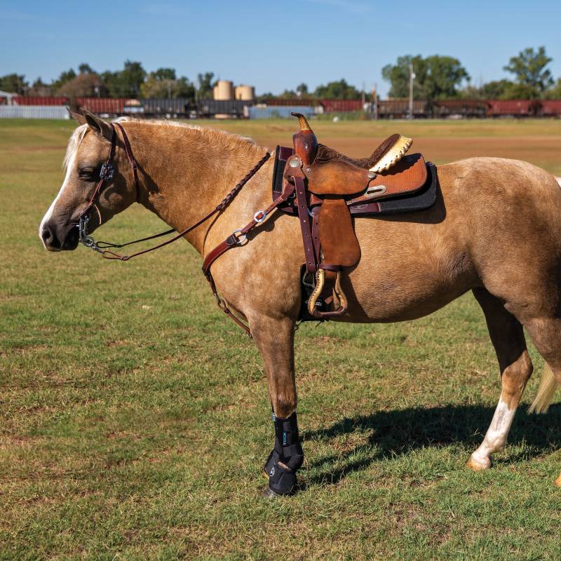 Load image into Gallery viewer, Professional's Choice 2XCool Sports Medicine Boots - Pony Size
