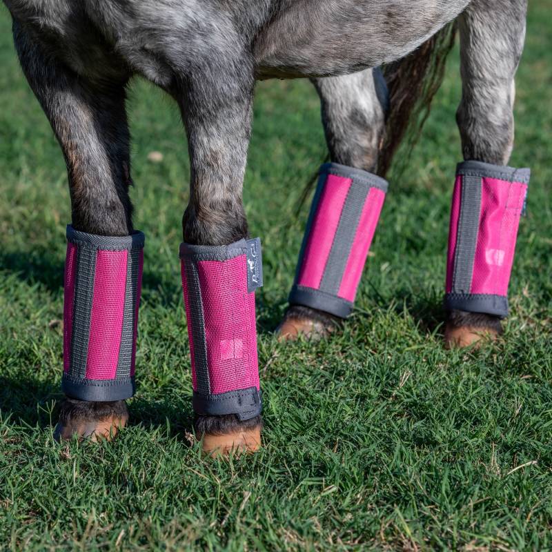 Load image into Gallery viewer, Professional's Choice Deluxe Fly Boots
