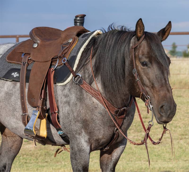 Load image into Gallery viewer, Professional's Choice Contoured Chocolate Roughout Gunslinger Breast Collar 2"
