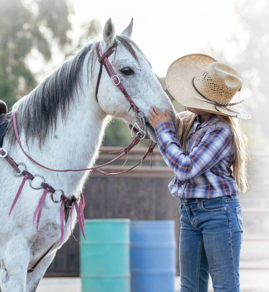 Professional's Choice Twist Pony Browband Headstall