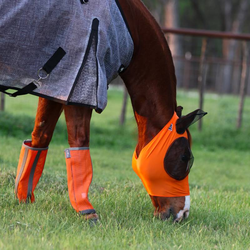 Load image into Gallery viewer, Professional's Choice Deluxe Fly Boots
