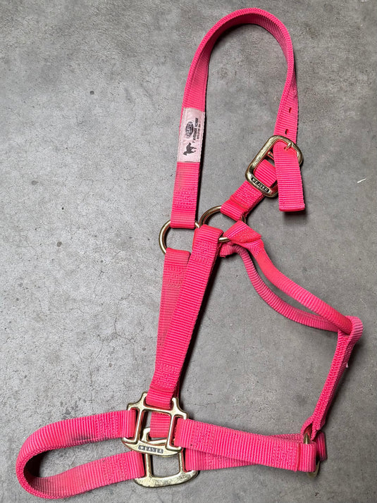 Used/New Weaver Nylon Halter - Hot Pink