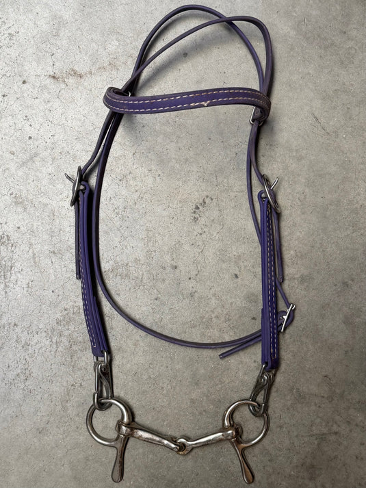 Used Biothane Headstall & Snaffle Bit - Purple