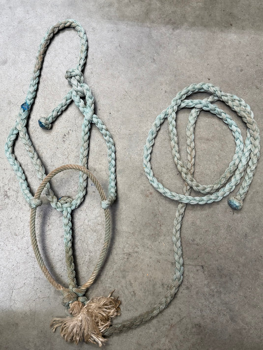 Used Rope Nose Braided Halter & Lead - Light Blue