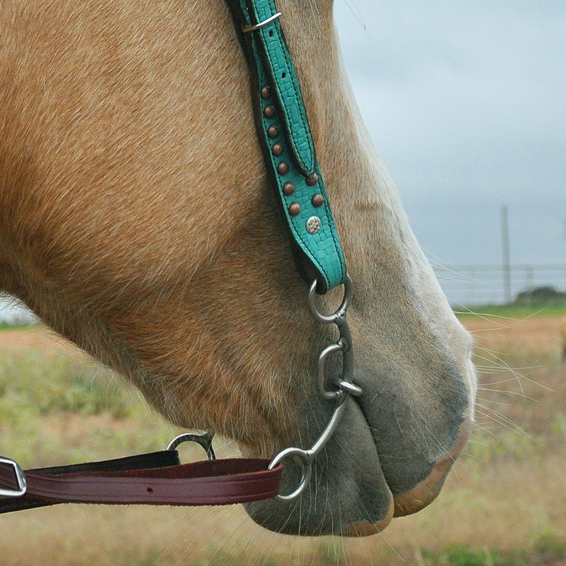 Load image into Gallery viewer, Classic Equine Goostree Delight Twisted Wire Snaffle Bit
