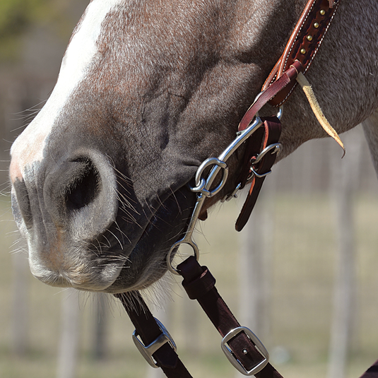 Classic Equine Goostree Short Shank Double Gag Dr Bristol Bit