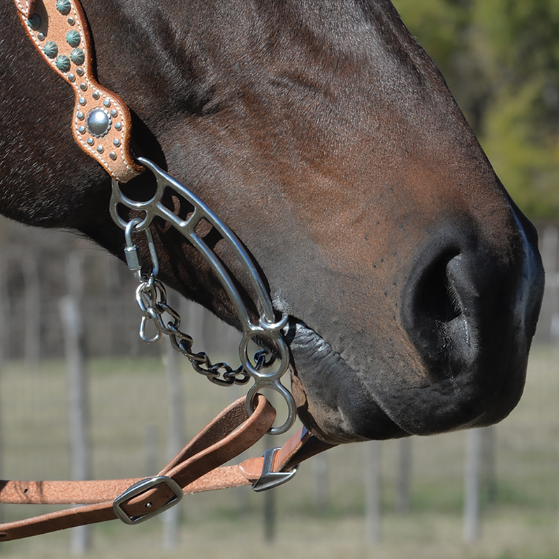 Load image into Gallery viewer, Classic Equine Goostree Quick Draw Dr Bristol Bit
