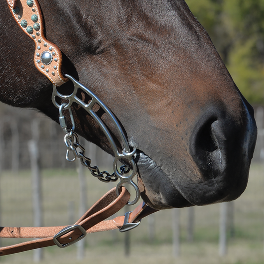 Classic Equine Goostree Quick Draw Dr Bristol Bit