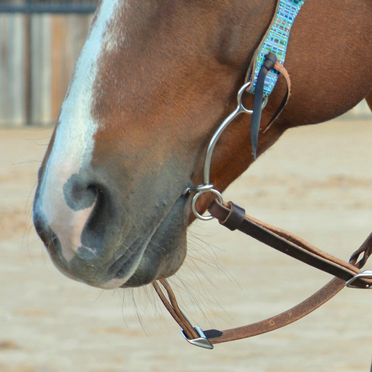 Classic Equine Goostree Simplicity Chain Bit