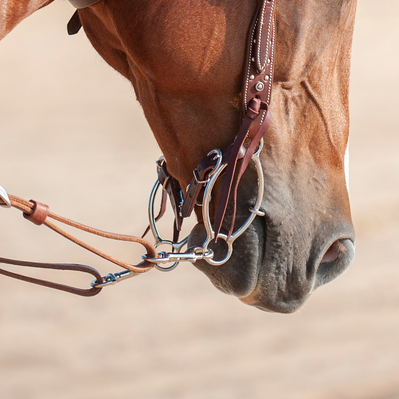 Load image into Gallery viewer, Classic Equine Goostree Simplicity II Chain Snaffle Bit
