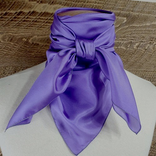 Load image into Gallery viewer, Light Weight Habotai Solid Wild Rag - 22"x22"
