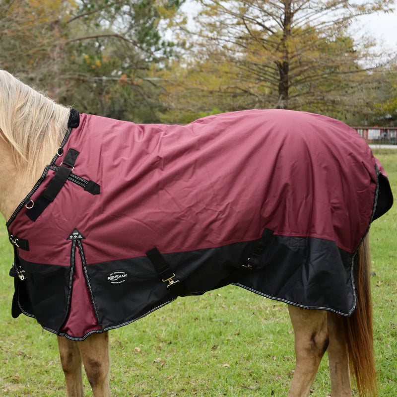 Load image into Gallery viewer, Reinsman Guardian Premium Turnout Winter Blanket 300g Wine/Black
