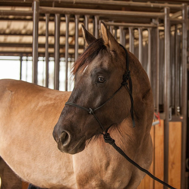 Load image into Gallery viewer, Classic Equine Premium Rope Halter
