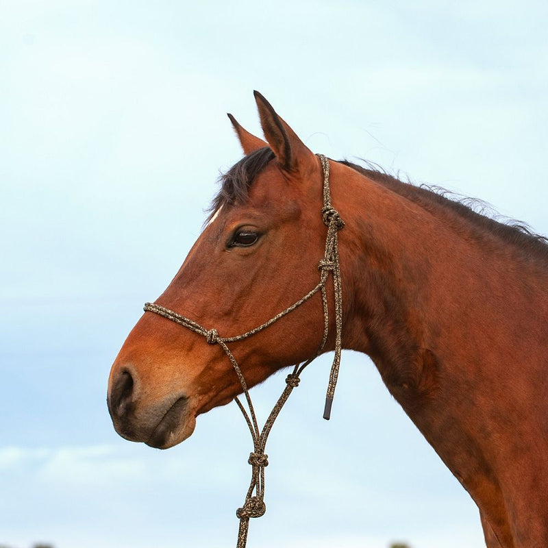Load image into Gallery viewer, Classic Equine Premium Rope Halter
