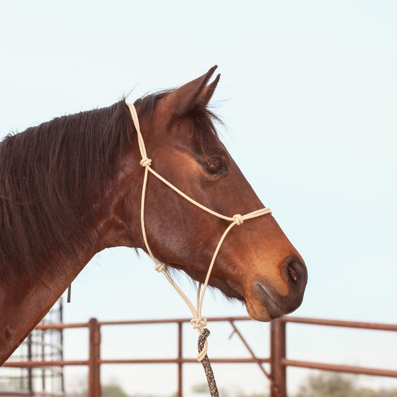 Load image into Gallery viewer, Classic Equine Premium Rope Halter

