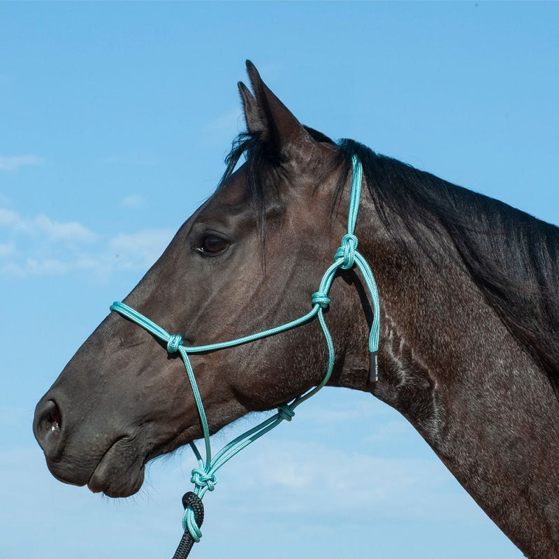 Load image into Gallery viewer, Classic Equine Premium Rope Halter
