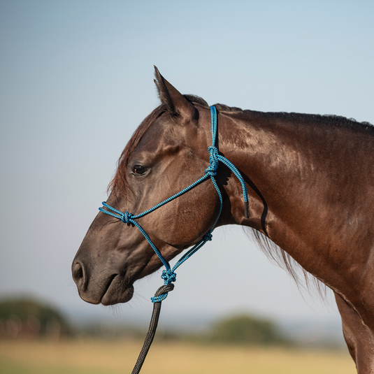 Classic Equine Rope Halter with Lead