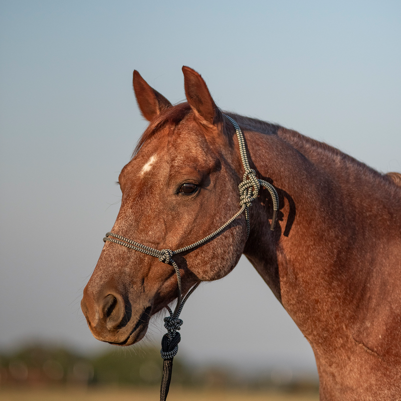 Load image into Gallery viewer, Classic Equine Rope Halter with Lead
