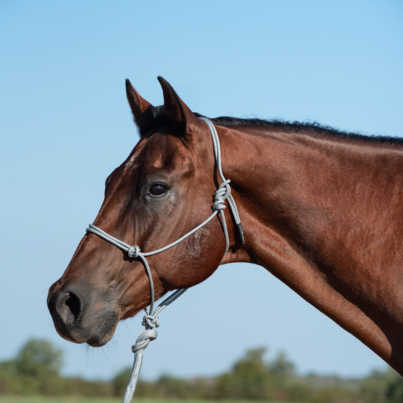 Load image into Gallery viewer, Classic Equine Rope Halter with Lead
