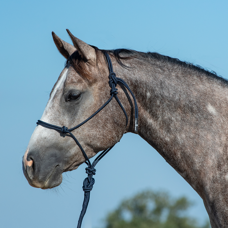 Load image into Gallery viewer, Classic Equine Rope Halter with Lead
