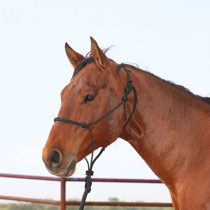 Load image into Gallery viewer, Classic Equine Premium Rope Halter with Lead - Black
