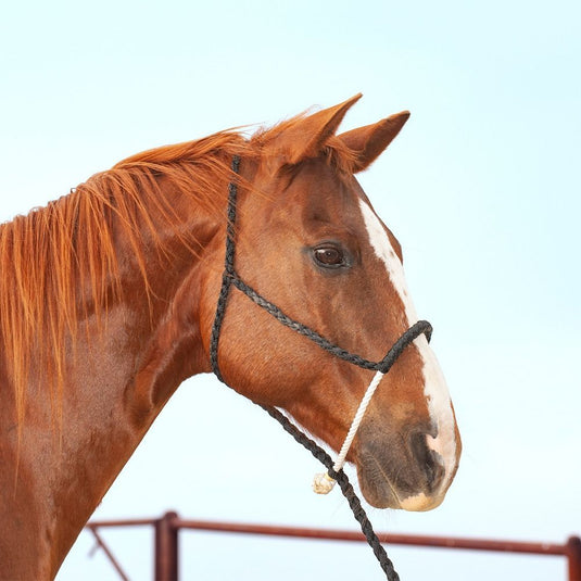Classic Equine Rope Nose Halter with Lead