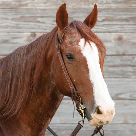 Martin Ranahan Weathered Antiqued Split Ear Headstall