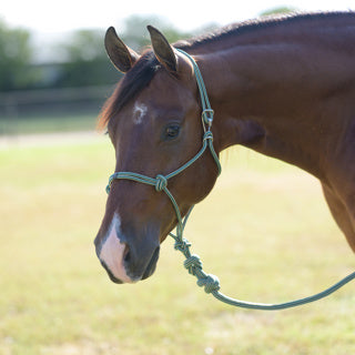 Professional's Choice Easy On Rope Halter with 10' Lead