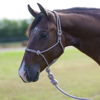 Professional's Choice Easy On Rope Halter with 10' Lead