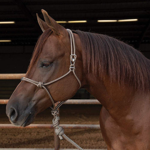 Professional's Choice Easy On Rope Halter with 10' Lead