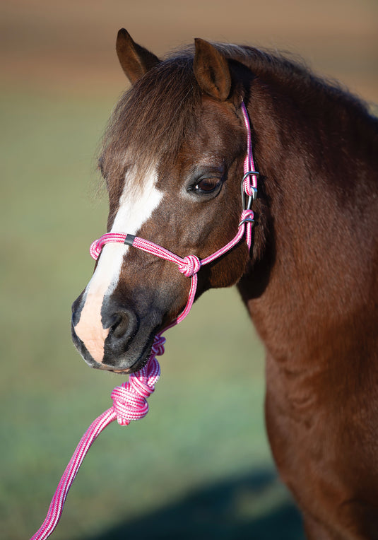 Professional's Choice Easy On Pony Rope Halter with Matching Lead