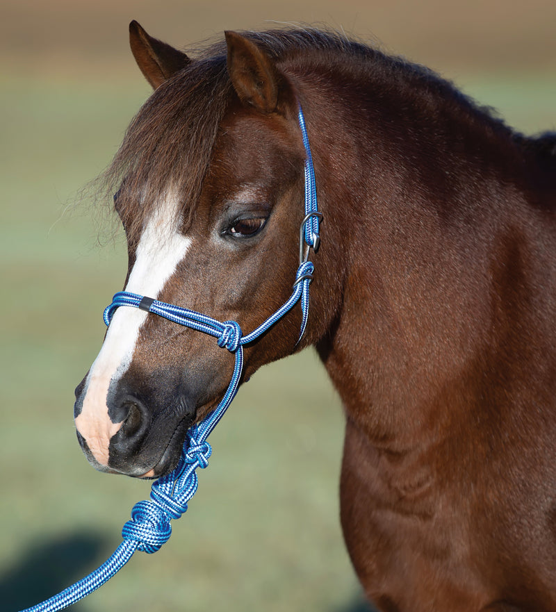 Load image into Gallery viewer, Professional's Choice Easy On Pony Rope Halter with Matching Lead
