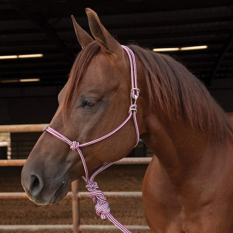 Load image into Gallery viewer, Professional's Choice Easy On Rope Halter with 10' Lead
