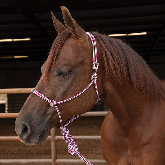Professional's Choice Easy On Rope Halter with 10' Lead