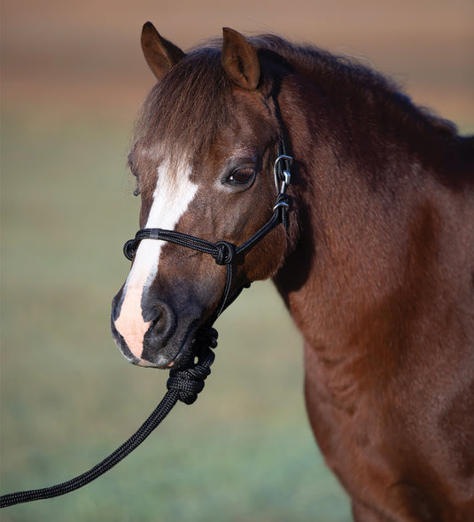 Professional's Choice Easy On Mini Pony Rope Halter with Matching Lead