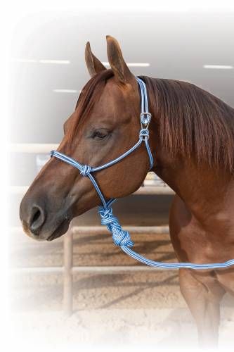 Load image into Gallery viewer, Professional's Choice Easy On Rope Halter with 10' Lead
