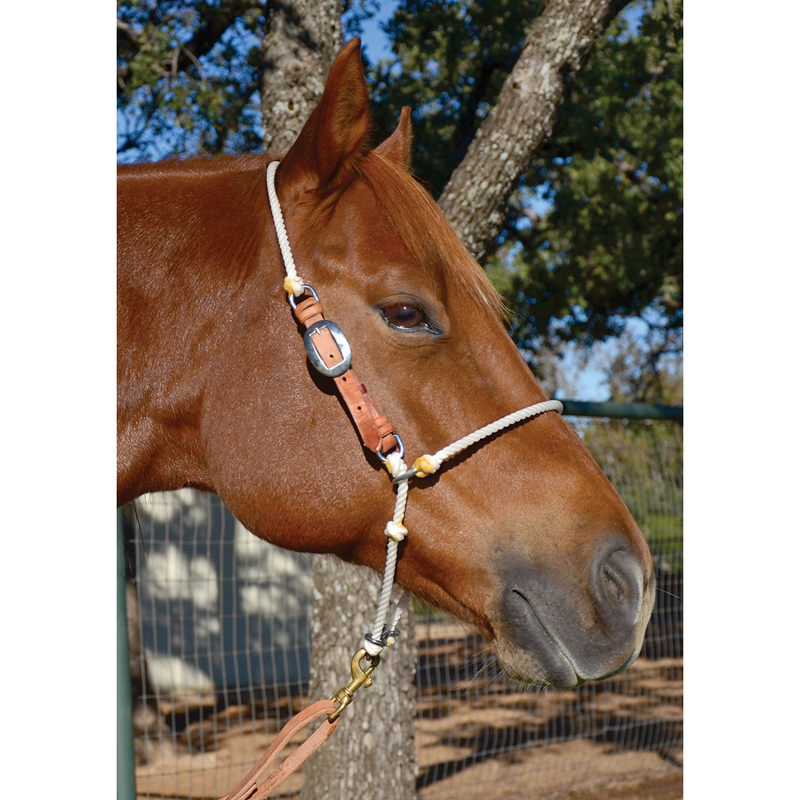 Load image into Gallery viewer, Martin Adjustable Rope Headsetter Tie Down
