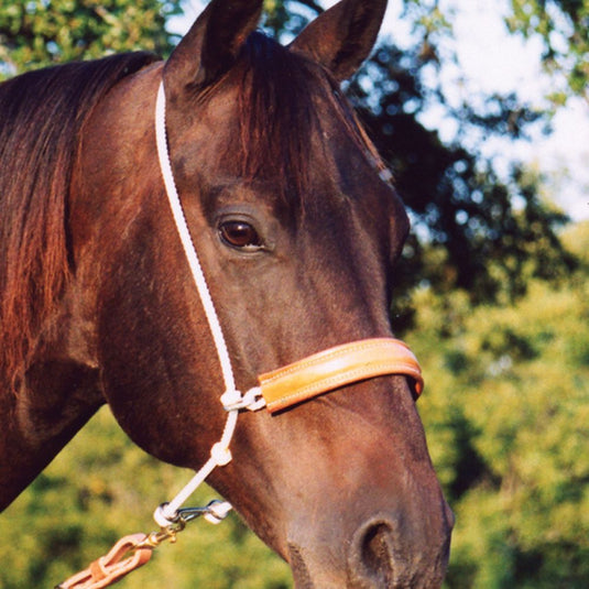 Martin Leather Covered Rope Headsetter Tie Down