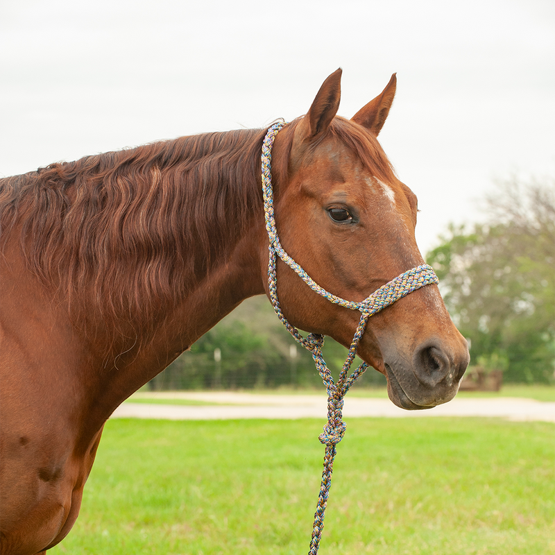 Load image into Gallery viewer, Cashel Flat Braid Halter with Lead
