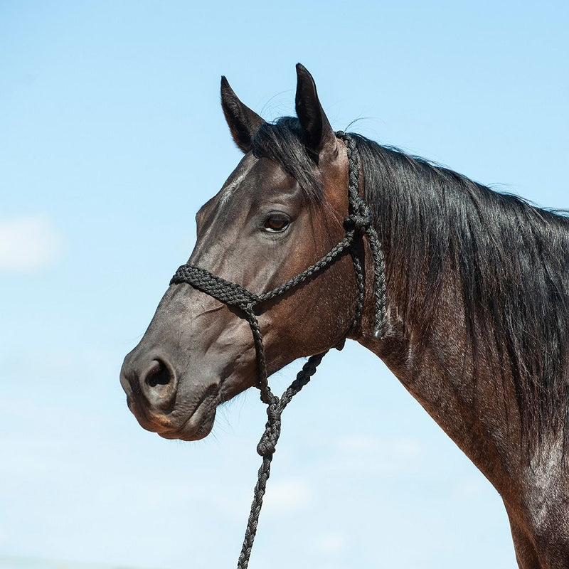 Load image into Gallery viewer, Cashel Flat Braid Halter with Lead
