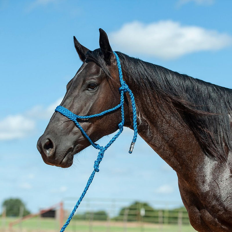 Load image into Gallery viewer, Cashel Flat Braid Halter with Lead
